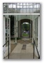 Axis - Looking through Camellia House